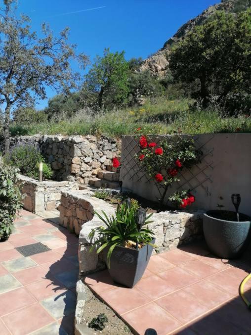 Bed & Breakfast Tre Castelli Monticello