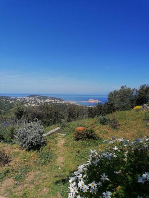 Bed & Breakfast Tre Castelli